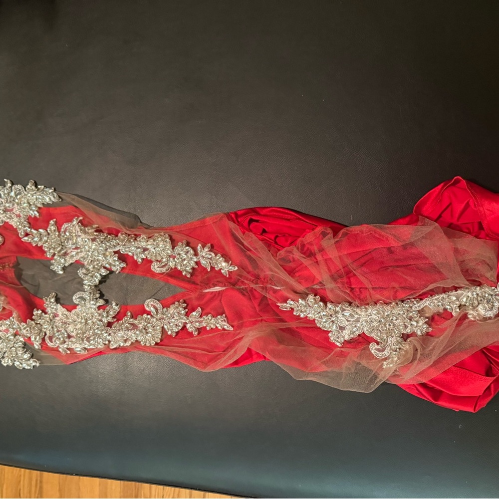 Red and Silver Sheer Dress - Picture 4 of 6